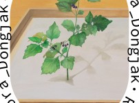 Rolling the Flora_Dongjak 전시 안내